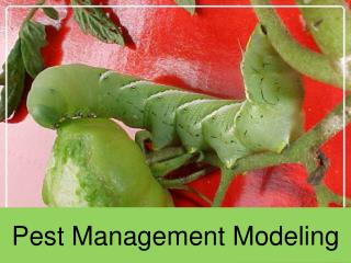Pest Management Modeling