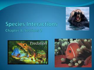 Species Interactions Chapter 8, Sections 2