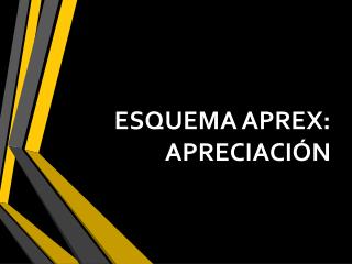 ESQUEMA APREX: APRECIACIÓN