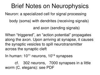 Brief Notes on Neurophysics