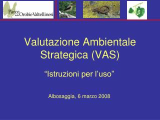 Valutazione Ambientale Strategica (VAS)