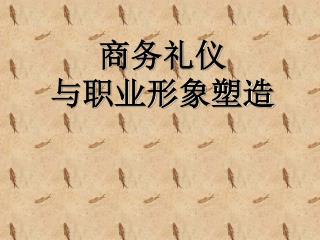 商务礼仪 与职业形象塑造