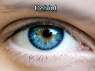 Ochiul