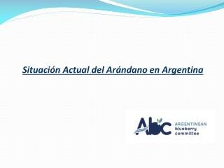 Situación Actual del Arándano en Argentina