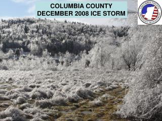 COLUMBIA COUNTY DECEMBER 2008 ICE STORM