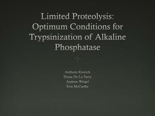 Limited Proteolysis: Optimum Conditions for Trypsinization of Alkaline Phosphatase