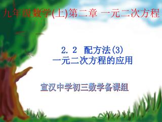 九年级数学 ( 上 ) 第二章 一元二次方程