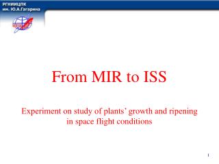 From MIR to ISS Experiment on study of plants’ growth and ripening in space flight conditions