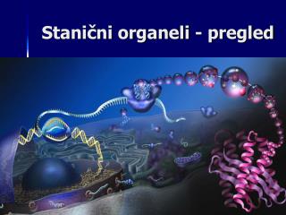 Stanični organeli - pregled