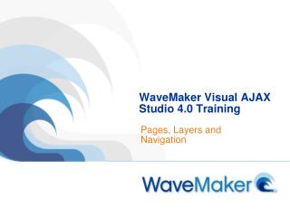 WaveMaker Visual AJAX Studio 4.0 Training