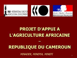 PROJET D ’ APPUI A L ’ AGRICULTURE AFRICAINE – REPUBLIQUE DU CAMEROUN