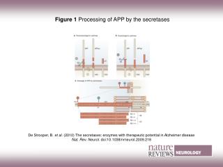 Figure 1 Processing of APP by the secretases