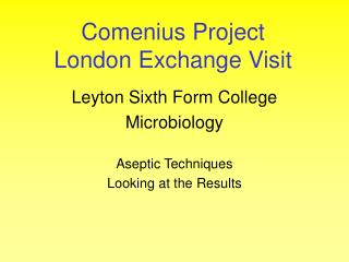 Comenius Project London Exchange Visit