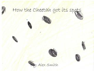 How the Cheetah got its spots