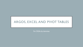 Argos, Excel and Pivot Tables