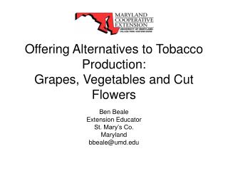 Offering Alternatives to Tobacco Production: Grapes, Vegetables and Cut Flowers