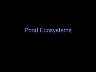 Pond Ecosystems
