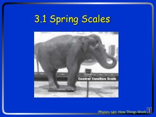 3.1 Spring Scales