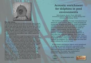 Acoustic enrichment for dolphins in pool environments