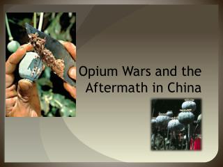 The Opium Wars and the Aftermath in China