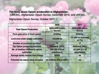 The facts about Opium production in Afghanistan: