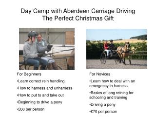 Day Camp with Aberdeen Carriage Driving The Perfect Christmas Gift