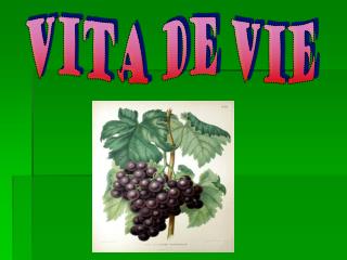 Vita de vie