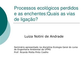 Processos ecológicos perdidos e as enchentes:Quais as vias de ligação?