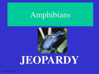 Amphibians