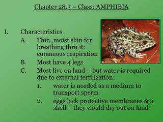 Chapter 28.3 – Class: AMPHIBIA I.	Characteristics