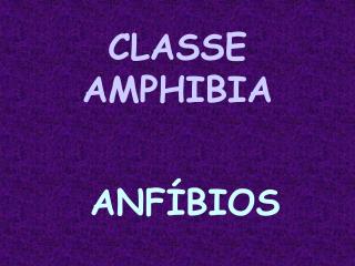 CLASSE AMPHIBIA ANFÍBIOS