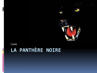 La panth Ѐ re noire