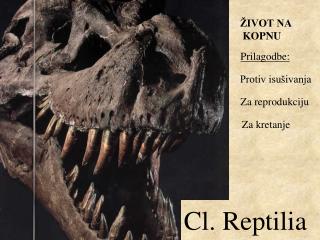 Cl. Reptilia