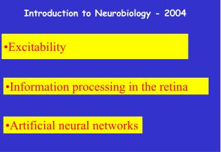 Excitability