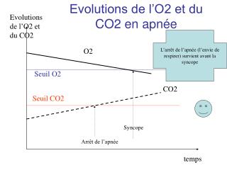 Evolutions de l’O2 et du CO2 en apnée