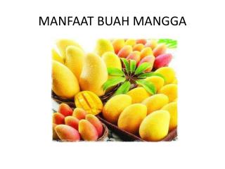 MANFAAT BUAH MANGGA