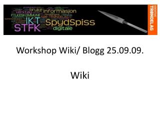 Workshop Wiki / Blogg 25.09.09.