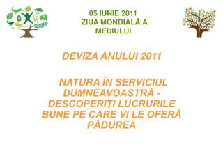 DEVIZA ANULUI 2011