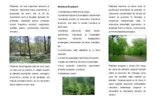 Binefacerile pădurii : menţinerea echilibrului ecologic
