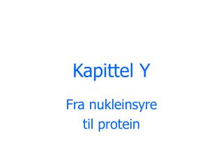 Kapittel Y