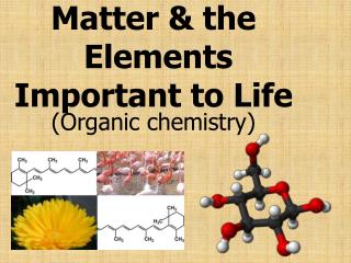 Matter &amp; the Elements Important to Life