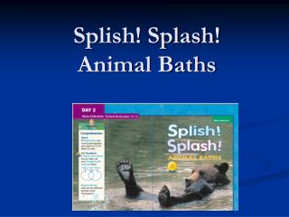 Splish! Splash! Animal Baths