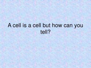 A cell is a cell but how can you tell?