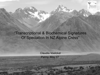 “Transcriptional &amp; Biochemical Signatures Of Speciation In NZ Alpine Cress”