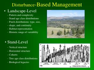 Disturbance -Based Management