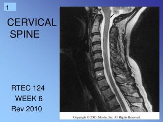 CERVICAL SPINE