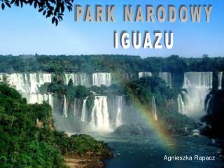 PARK NARODOWY IGUAZU