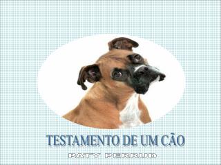 TESTAMENTO DE UM CÃO