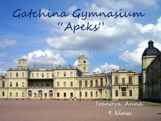 Gatchina Gymnasium “Apeks”