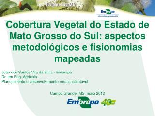 Cobertura Vegetal do Estado de Mato Grosso do Sul: aspectos metodológicos e fisionomias mapeadas